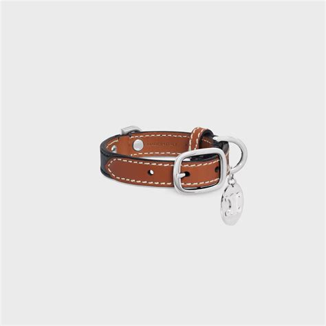 celine dog collar.